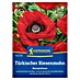 Kiepenkerl Profi-Line Blumensamen Türkischer Riesenmohn 