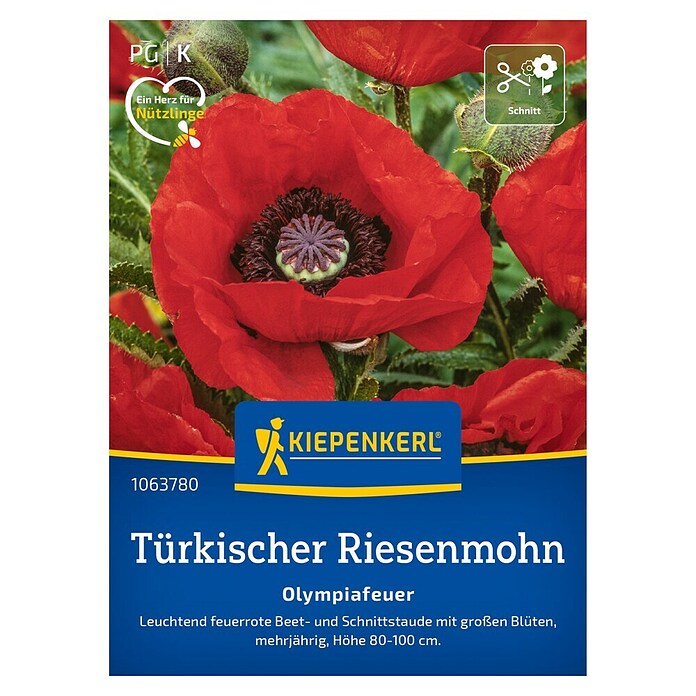 Kiepenkerl Profi-Line Blumensamen Türkischer Riesenmohn (Papaver orientale, Rot) | BAUHAUS