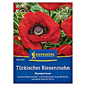 Kiepenkerl Profi-Line Blumensamen Türkischer Riesenmohn (Papaver orientale, Rot) | BAUHAUS