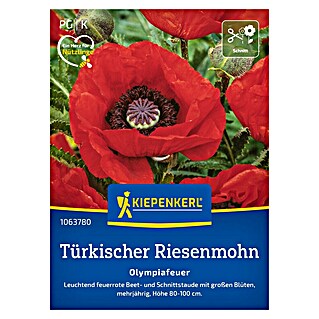 Kiepenkerl Profi-Line Blumensamen Türkischer Riesenmohn (Papaver orientale, Rot)