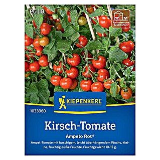 Kiepenkerl Profi-Line Gemüsesamen Kirsch-Tomate Ampelo (Solanum lycopersicum, Erntezeit: Juli)
