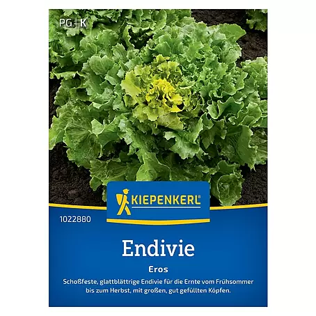 Kiepenkerl Profi-Line Salatsamen Endivien Eros