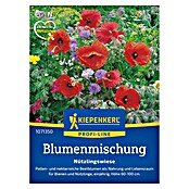 Kiepenkerl Blumensamenmischung Nützlingswiese (Verschiedene Sorten, Mehrfarbig, 3 m² - 4 m²) | BAUHAUS