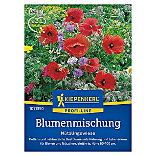 Kiepenkerl Blumensamenmischung Nützlingswiese (Verschiedene Sorten, Mehrfarbig, 3 m² - 4 m²)