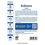 Kiepenkerl Profi-Line Obstsamen Erdbeere Tresca (Fragaria x ananassa, Erntezeit: Juli) | BAUHAUS
