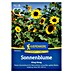 Kiepenkerl Profi-Line Blumensamen Sonnenblumen 