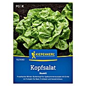 Kiepenkerl Profi-Line Salatsamen Winterkopfsalat Humil (Lactuca sativa var. capitata, Erntezeit: März) | BAUHAUS