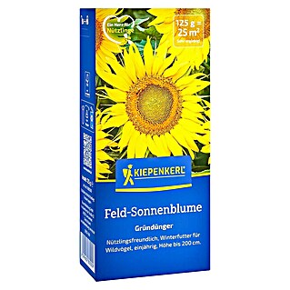 Kiepenkerl Gründüngung Feld-Sonnenblume (Helianthus annuus, Gelb, Inhalt reicht für ca. 25 Quadratmeter)