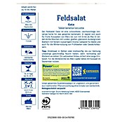 Kiepenkerl Profi-Line Salatsamen Feldsalat Gala PowerSaat (Valerianella locusta, Erntezeit: Ganzjährig, 2,3 g) | BAUHAUS