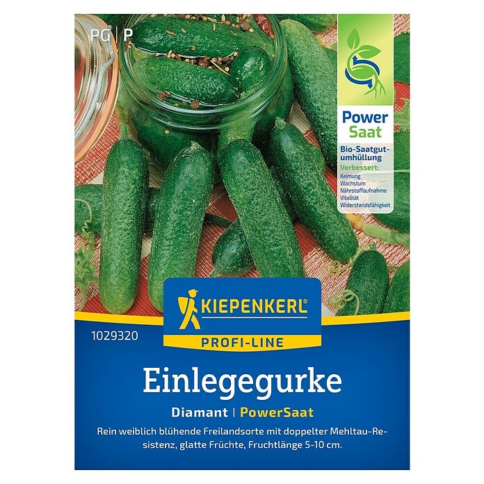Kiepenkerl Profi-Line Gemüsesamen Einlegegurke Diamant PS (Cucumis sativus, Erntezeit: Juli) | BAUHAUS