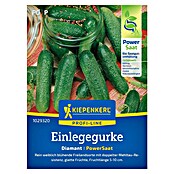 Kiepenkerl Profi-Line Gemüsesamen Einlegegurke Diamant PS (Cucumis sativus, Erntezeit: Juli) | BAUHAUS