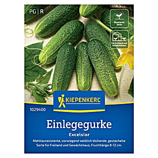 Kiepenkerl Gemüsesamen Einlegegurke Excelsior (Cucumis sativus, Erntezeit: Juli)