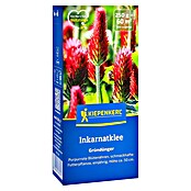 Kiepenkerl Gründüngung Inkarnatklee (Trifolium incarnatum, 60 m²) | BAUHAUS