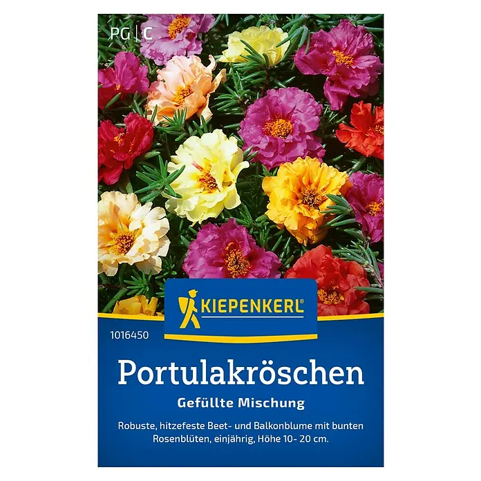 Kiepenkerl Blumensamenmischung Portulakröschen gefüllt - Portulaca grandiflora, Mehrfarbig - Ein farbenfrohes Bild von "Portulakröschen Gefüllte Mischung" Samen von Kiepenkerl, ideal für hitzebeständige Beet- und Balkonpflanzen.
