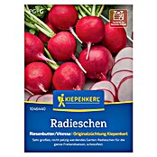 Kiepenkerl Profi-Line Gemüsesamen Radieschen Riesenbutter/Vitessa (Raphanus sativus var. sativus, Erntezeit: Juni) | BAUHAUS