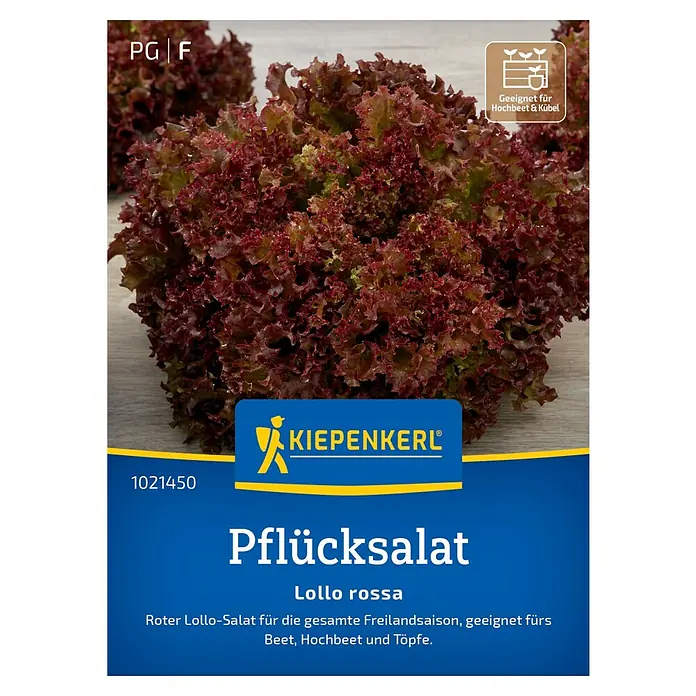 Kiepenkerl Profi-Line Salatsamen Pflücksalat Lollo Rossa - Lactuca sativa var. crispa, Erntezeit: Mai - Abbildung eines Kiepenkerl Pflücksalat 'Lollo Rossa' Samenpäckchens, ideal für Beet, Hochbeet und Töpfe.