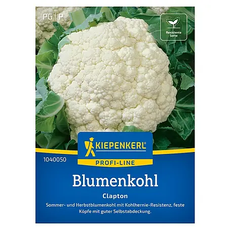 Kiepenkerl Profi-Line Gemüsesamen Blumenkohl