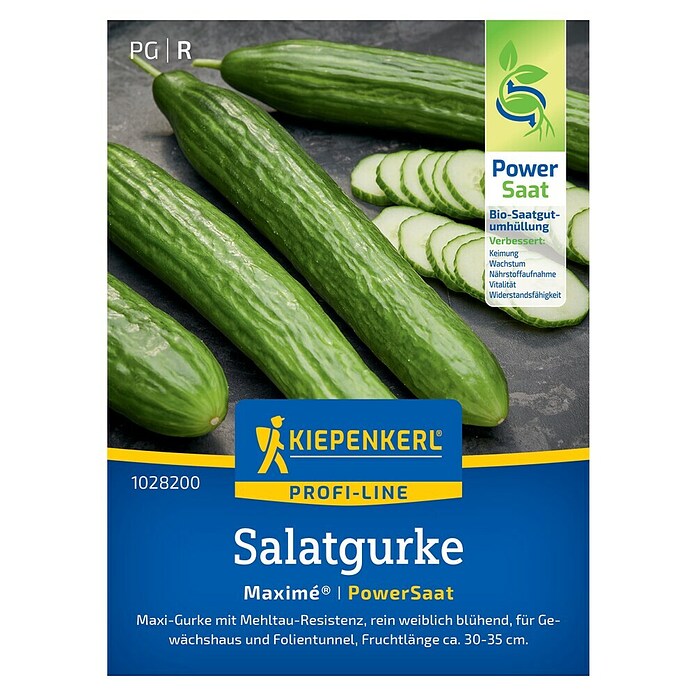 Kiepenkerl Salatsamen Salatgurke (Cucumis sativus 'Maxime', Erntezeit: Juli) | BAUHAUS