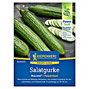 Kiepenkerl Salatsamen Salatgurke (Cucumis sativus 'Maxime', Erntezeit: Juli) | BAUHAUS