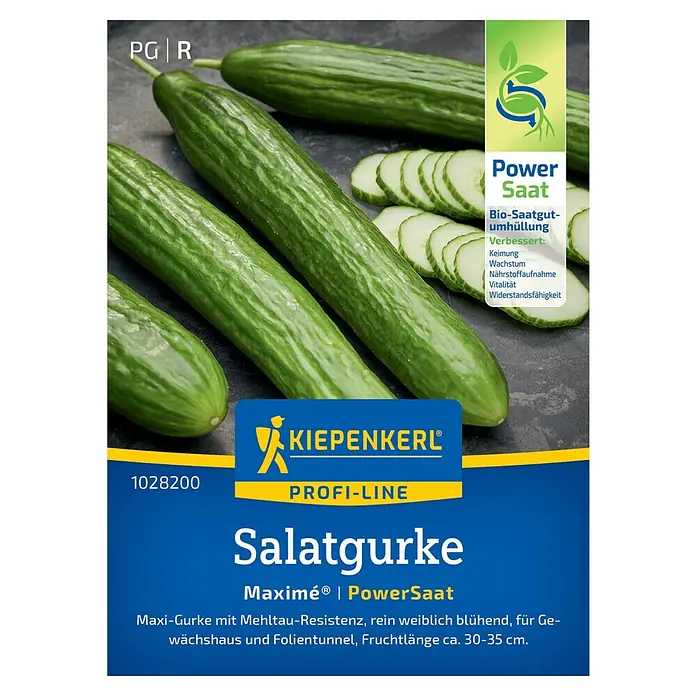Kiepenkerl Salatsamen Salatgurke - Cucumis sativus 'Maxime', Erntezeit: Juli - Abbildung der Kiepenkerl "Salatgurke Maximé® PowerSaat", eine Maxi-Gurke mit Mehltau-Resistenz, ideal für Gewächshäuser.