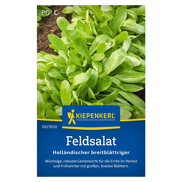 Kiepenkerl Salatsamen Feldsalat holländischer, breitblättrig - Valerianella locusta, Erntezeit: Oktober - Abbildung des Kiepenkerl Feldsalat Holländischer breitblättriger, eine wüchsige und robuste Sorte für die Ernte im Herbst und Frühwinter.