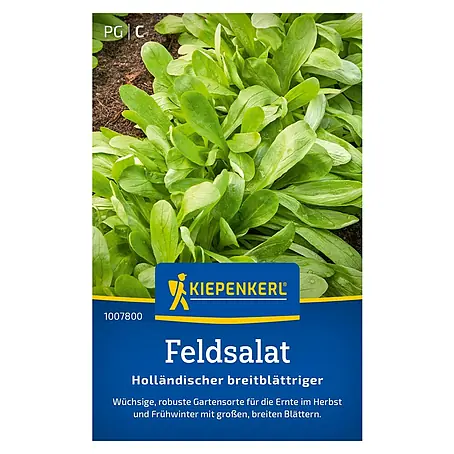 Kiepenkerl  Salatsamen Feldsalat holländischer, breitblättrig