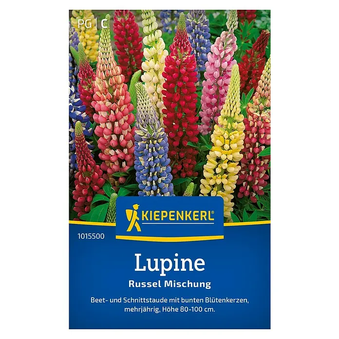 Kiepenkerl Blumensamen Lupine Prachtmischung Russel - Lupinus polyphyllus, Mehrfarbig - Produktfoto einer Kiepenkerl Lupinen Russelmischung Samenpackung mit bunten Lupinenblüten.