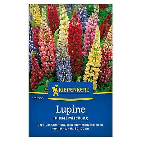 Kiepenkerl  Blumensamen Lupine Prachtmischung Russel