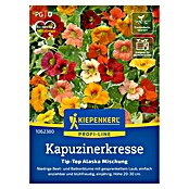 Kiepenkerl Profi-Line Kräutersamen Kapuzinerkresse Tip Top Alaska Mischung (Tropaeolum majus, Saatzeit: April) | BAUHAUS