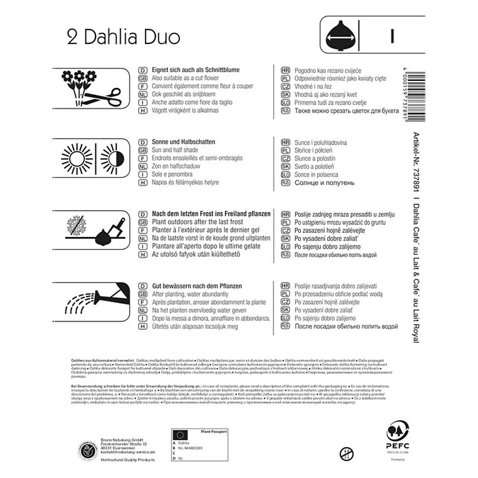 Kiepenkerl Dalija Duo  (Dahlia x Hybrida, Višebojni, Broj cvjetnih lukovica: 2 Kom.) | BAUHAUS