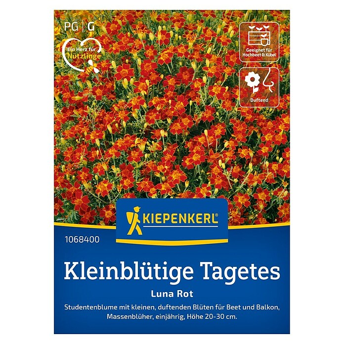 Kiepenkerl Profi-Line Blumensamen Studentenblume (Tagetes tenuifolia, Rot) | BAUHAUS
