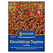 Kiepenkerl Profi-Line Blumensamen Studentenblume (Tagetes tenuifolia, Rot) | BAUHAUS