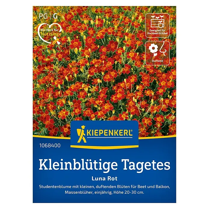 Kiepenkerl Profi-Line Blumensamen Studentenblume - Tagetes tenuifolia, Rot - Abbildung der Kleinblütigen Tagetes "Luna Rot" von Kiepenkerl, ideal für Beet und Balkon, einjährig und duftend.