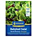 Kiepenkerl Profi-Line Salatsamen Pflücksalat Babyleaf Maraldi Mix PowerSaat 
