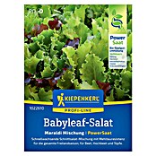 Kiepenkerl Profi-Line Salatsamen Pflücksalat Babyleaf Maraldi Mix PowerSaat (Lactuca sativa, Erntezeit: April, 0,6 g) | BAUHAUS
