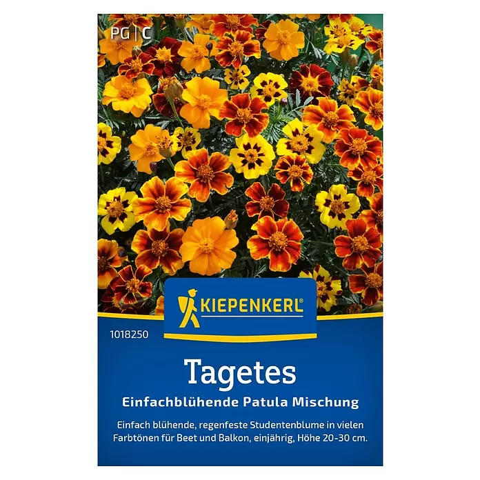 Kiepenkerl Blumensamen - Tagetes patula, Gelb, Rot, Orange - Kiepenkerl Tagetes Samenpackung mit leuchtend orange-gelben Studentenblumen. Blaues Etikett mit Markenlogo und Produktinformationen.