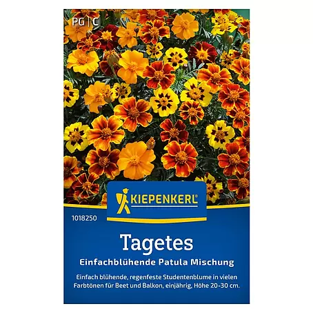 Kiepenkerl  Blumensamen