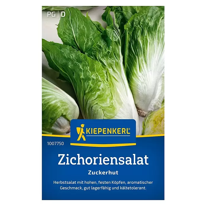 Gemüsesamen Zichoriensalat Zuckerhut - Cichorium intybus, Erntezeit: September - KIEPENKERL Verpackung für Zichoriensalat 'Zuckerhut' mit frischen grünen Salatköpfen auf blau-gelbem Etikett.