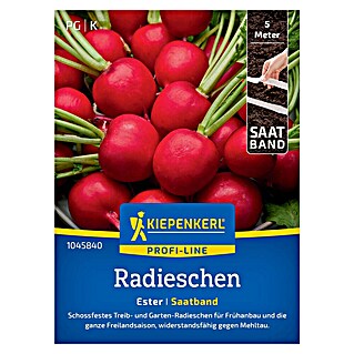 Kiepenkerl Profi-Line Gemüsesamen Radieschen Ester Saatband (Raphanus sativus var. sativus, Erntezeit: April)