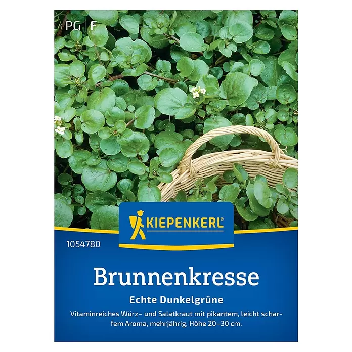 Kiepenkerl Kräutersamen Brunnenkresse Echte Dunkelgrüne - Nasturtium officinale, Erntezeit: Juni, Inhalt reicht für ca. 1-2 Quadratmeter - Grüne Brunnenkresse-Pflanzen mit Blüten. Unten Produktinformationen der Marke KIEPENKERL: "Brunnenkresse, Echte Dunkelgrüne".