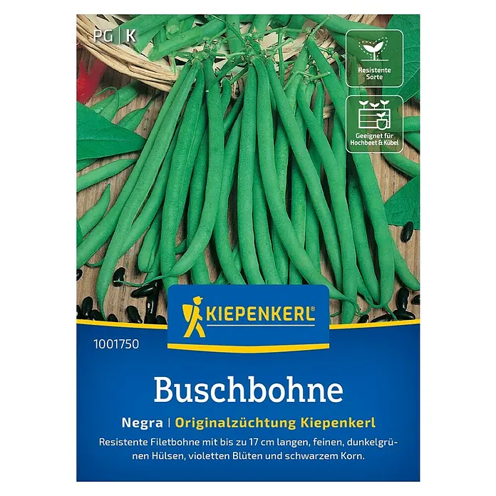 Kiepenkerl Profi-Line Gemüsesamen Buschbohne Negra - Phaseolus vulgaris var. nanus, Erntezeit: Juli - Samenpackung Buschbohne Negra von Kiepenkerl. Resistente Sorte mit bis zu 17 cm langen, feinen, dunkelgrünen Hülsen und violetten Blüten.