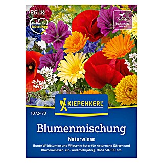 Kiepenkerl Profi-Line Blumensamenmischung Naturwiese (Bunt, 2 m² - 3 m²)