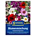 Kiepenkerl Profi-Line Blumensamenmischung Schmetterlingswiese 