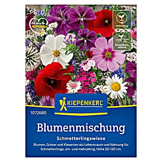 Kiepenkerl Profi-Line Blumensamenmischung Schmetterlingswiese (Verschiedene Sorten, Mehrfarbig, 5 m² - 8 m²)