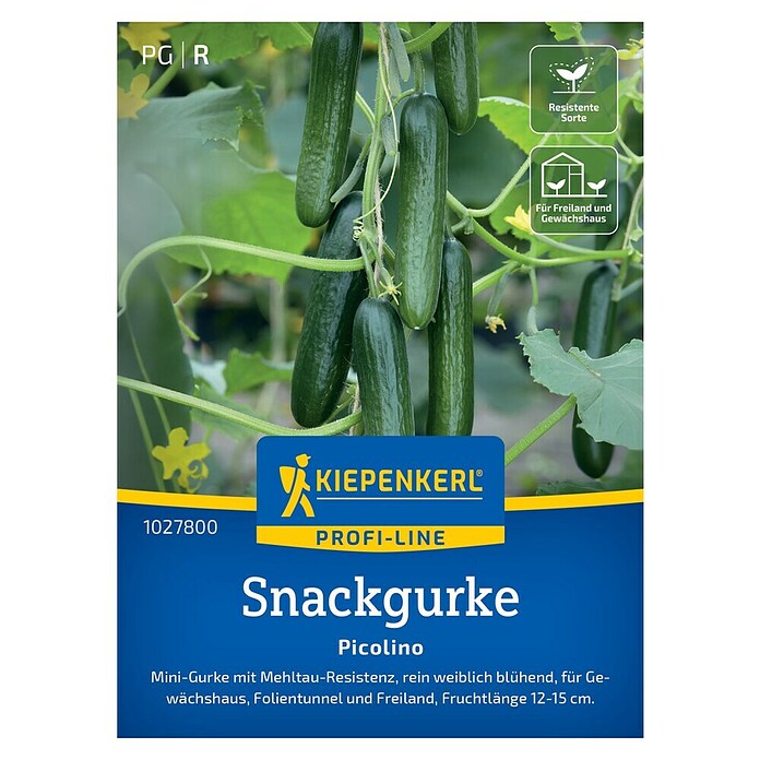 Kiepenkerl Profi-Line Gemüsesamen Snackgurke Picolino (Cucumis sativus, Erntezeit: Juli) | BAUHAUS