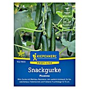 Kiepenkerl Profi-Line Gemüsesamen Snackgurke Picolino (Cucumis sativus, Erntezeit: Juli) | BAUHAUS