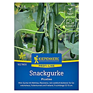 Kiepenkerl Profi-Line Gemüsesamen Snackgurke Picolino (Cucumis sativus, Erntezeit: Juli)