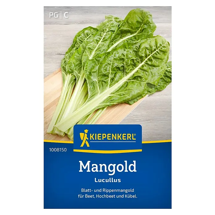 Kiepenkerl Gemüsesamen Mangold - Beta vulgaris var. vulgaris, Erntezeit: Mai - Das Bild zeigt eine Packung Mangoldsamen der Sorte Lucullus von Kiepenkerl, ideal für Beet, Hochbeet und Kübel.