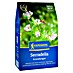 Kiepenkerl Gründüngung Serradella 