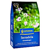 Kiepenkerl Gründüngung Serradella (Ornithopus sativus, Inhalt reicht für ca. 80 Quadratmeter) | BAUHAUS